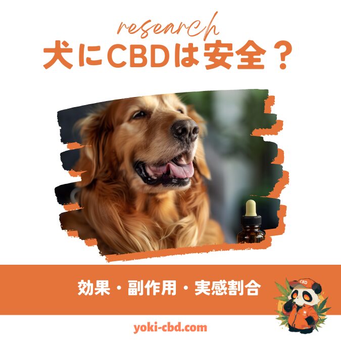 犬にCBDは安全？効果、副作用、実感割合について